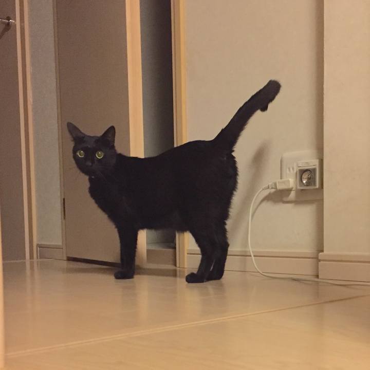 2bd23a0f cfb6 46fb 95a2 75e9610982e6