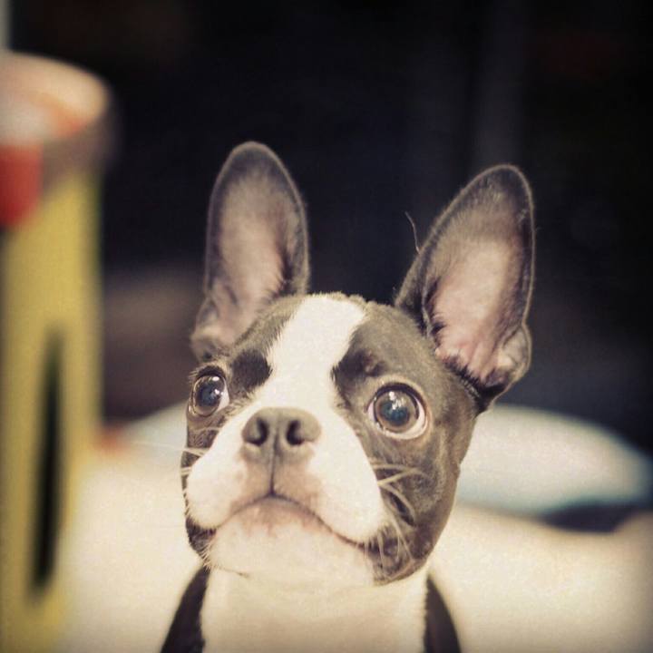 2bd2596a 9843 4f20 b901 47f85b6ff508