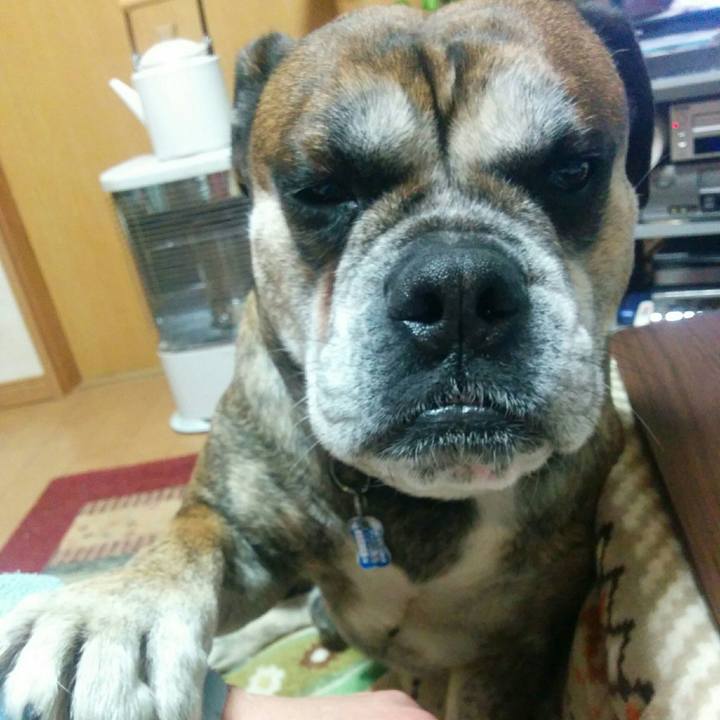 2bd2635e 71fb 4826 8e04 1d5ce9fbe2f6