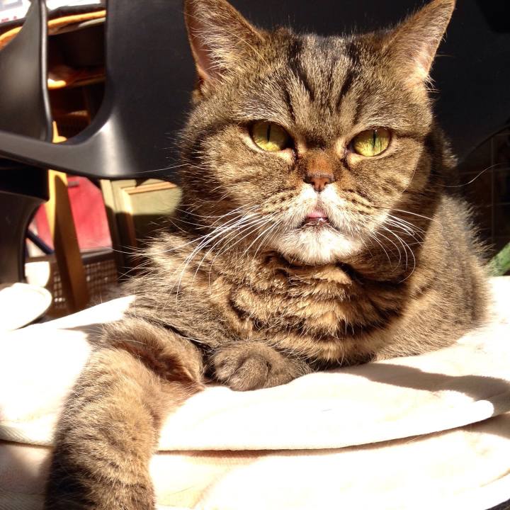 2bd28a7e caac 41d8 a926 c3e9a1c3ba5d