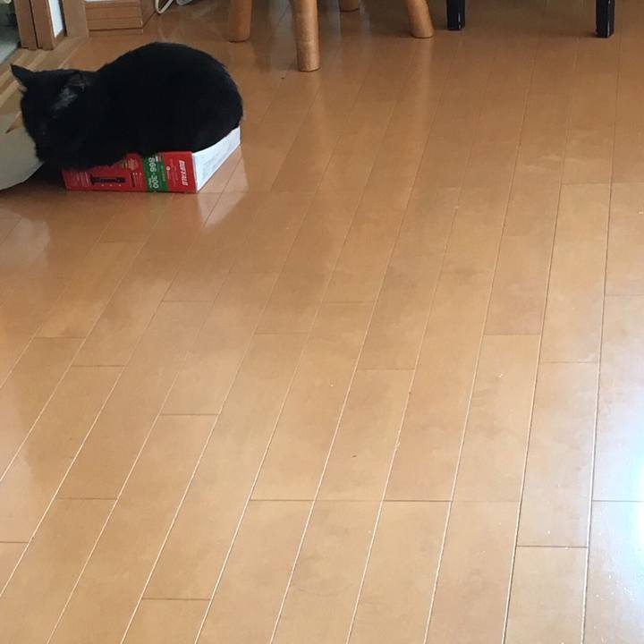 2bd2f7ba 252f 43e8 8774 c02957286ec3