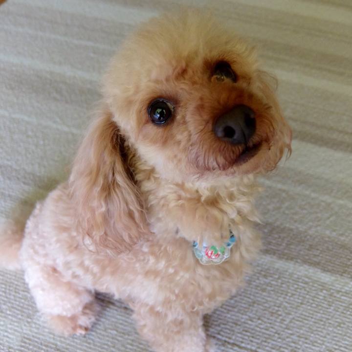 2bd343a6 fe81 49e5 a2e9 2526cd4af995