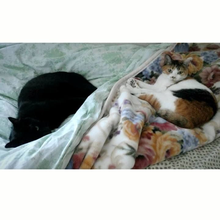 2bd3f1b9 7603 4e79 bc85 51f745414c48