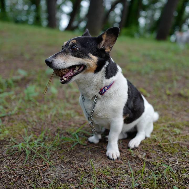 2bd3f80c 3ff0 4da8 9f53 74a2420a7b46