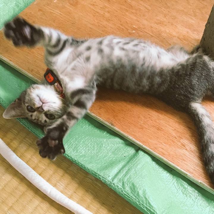 2bd5232a 0be8 4046 b713 22309925cd73