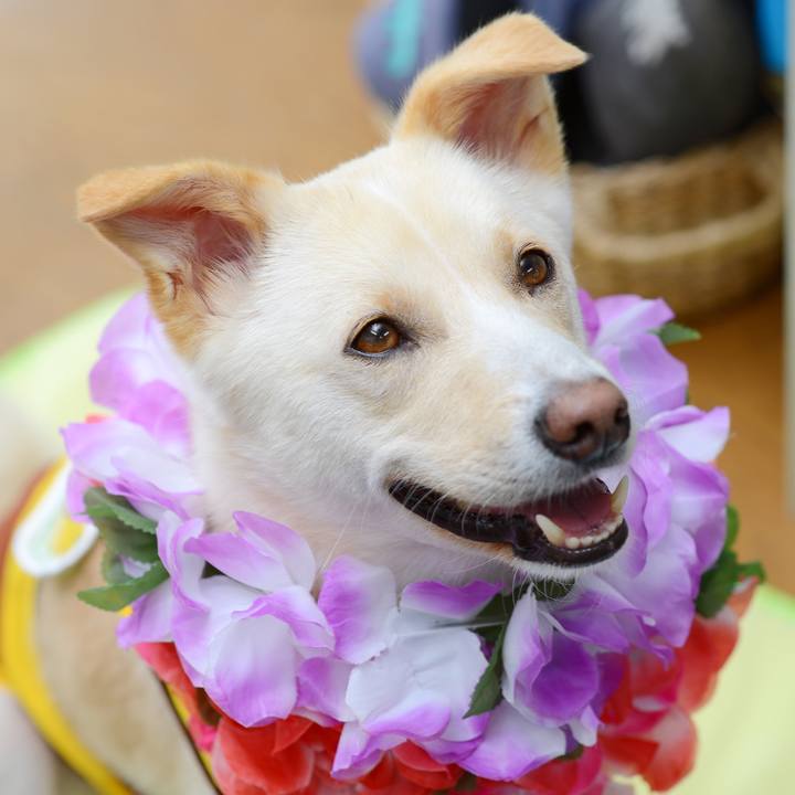 2bd56ca9 2d46 41f3 bd6e aa08a99e19f0