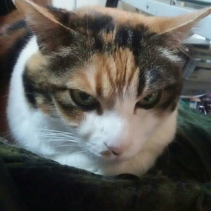 2bd64451 f259 4e57 a0fc 4448c4a167b2