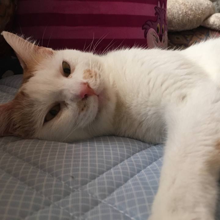 2bd65a20 a56e 4b47 84c6 7aec3cbd329b