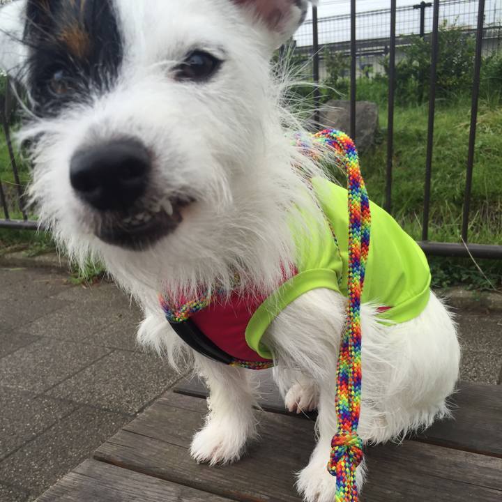 2bd73fa1 85a1 4e45 abd8 62c64952cf76