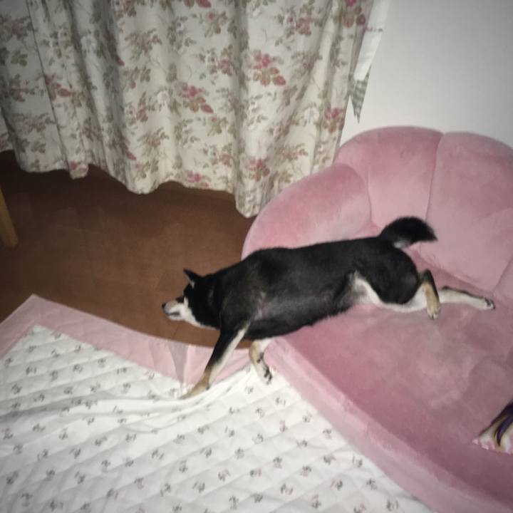 2bd75752 ef08 401e aa7e 443ee66d02ca