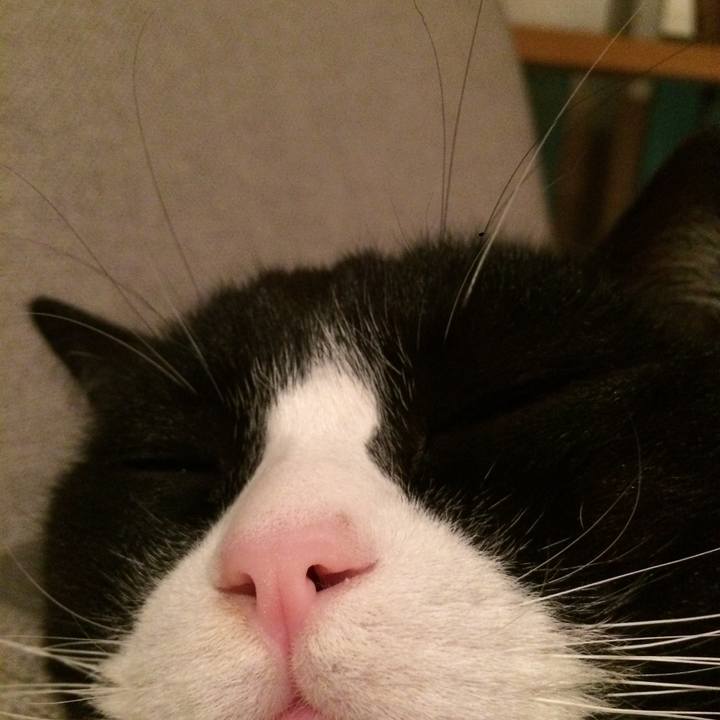 2bd85331 be4d 47f0 917a b66b015434f4