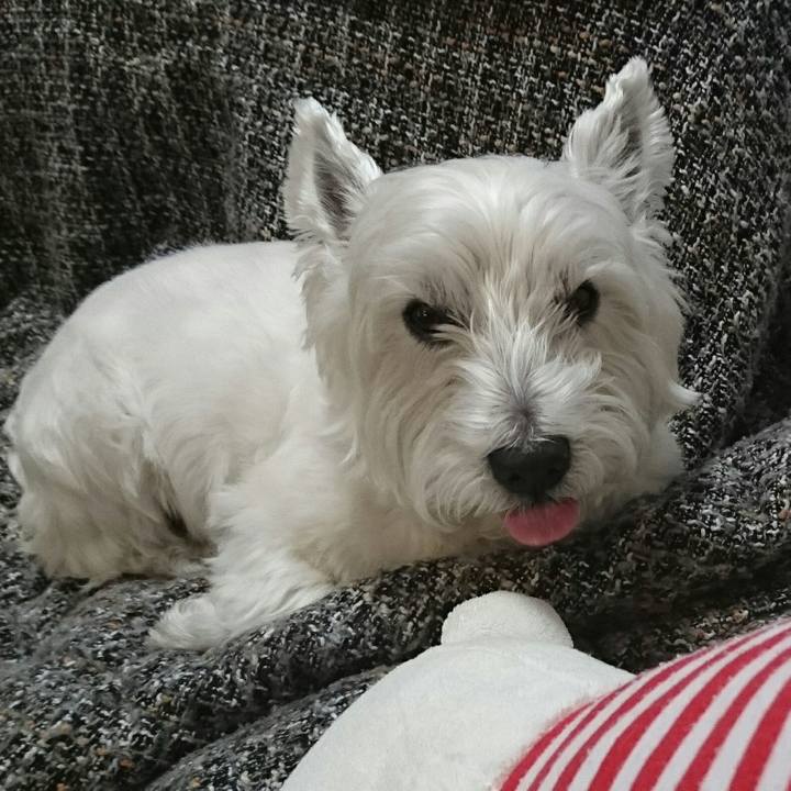 2bd86ba2 ba0c 4a9a 94eb 01dec72489fd