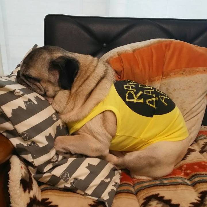 2bd91f6d 7bce 44ad 87fc bea2ef70d566