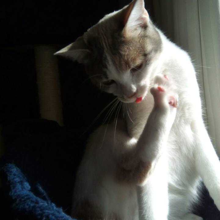 2bd98a4d 1552 4edb 9339 7f2e35d44873