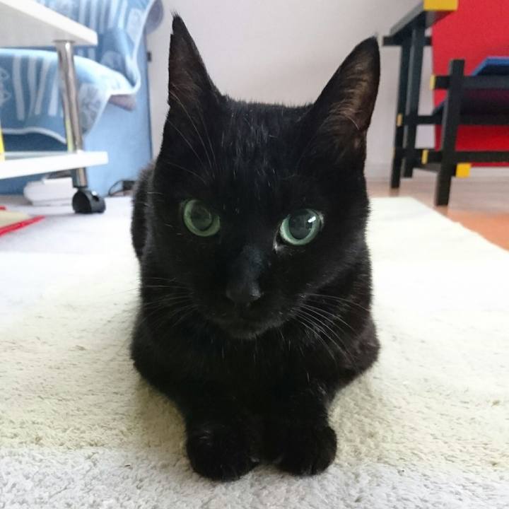 2bd9db7d 146f 4413 a4a6 b5ee866dc0e4