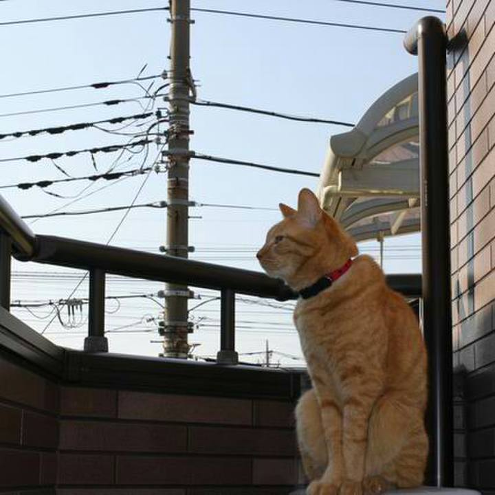 2bd9f197 1615 4795 bb3e 2a22da0a8d6e