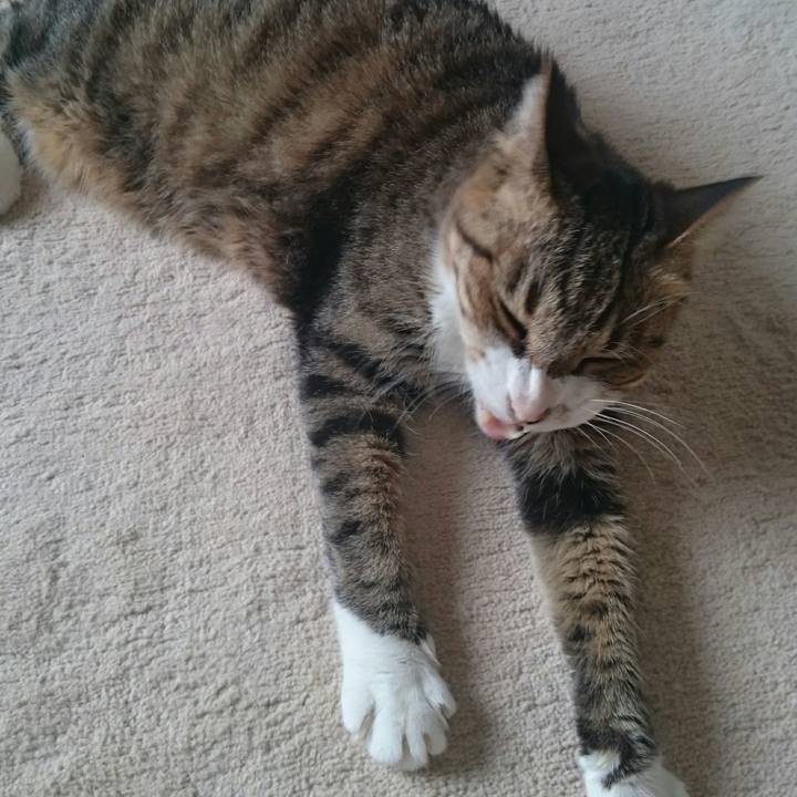 2bda21cd b5ce 45a9 b750 f2a3e7295593