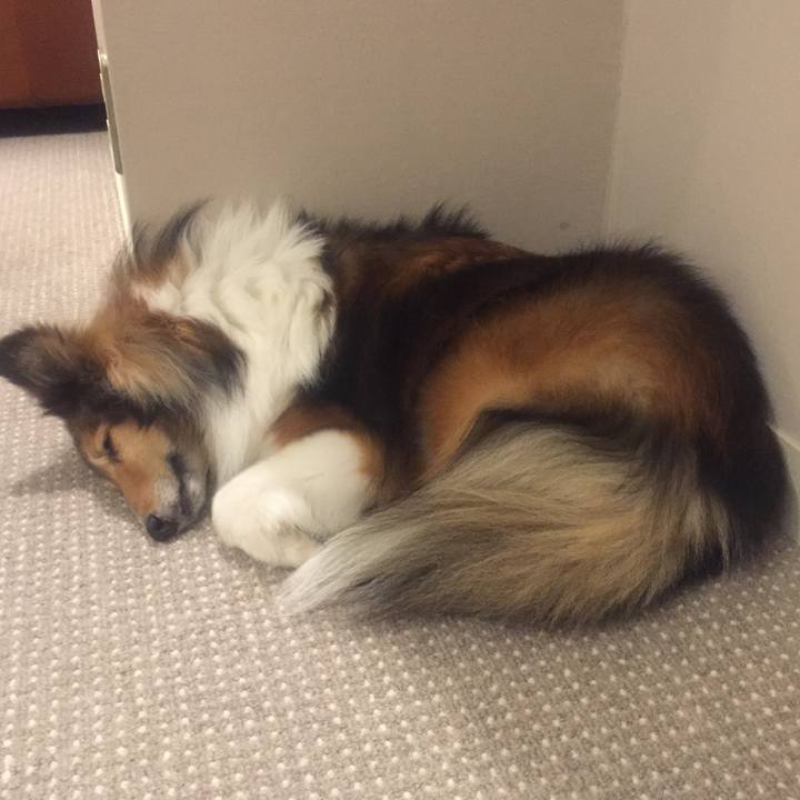 2bda53e5 3ae0 44be afa3 fd0127e74ea7