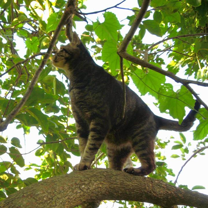 2bda5bdc a5bf 4c6d a65a 7790bc73ad2b