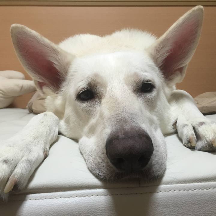 2bdac8ce dbf3 4cd4 97a7 a2b6151b57d2