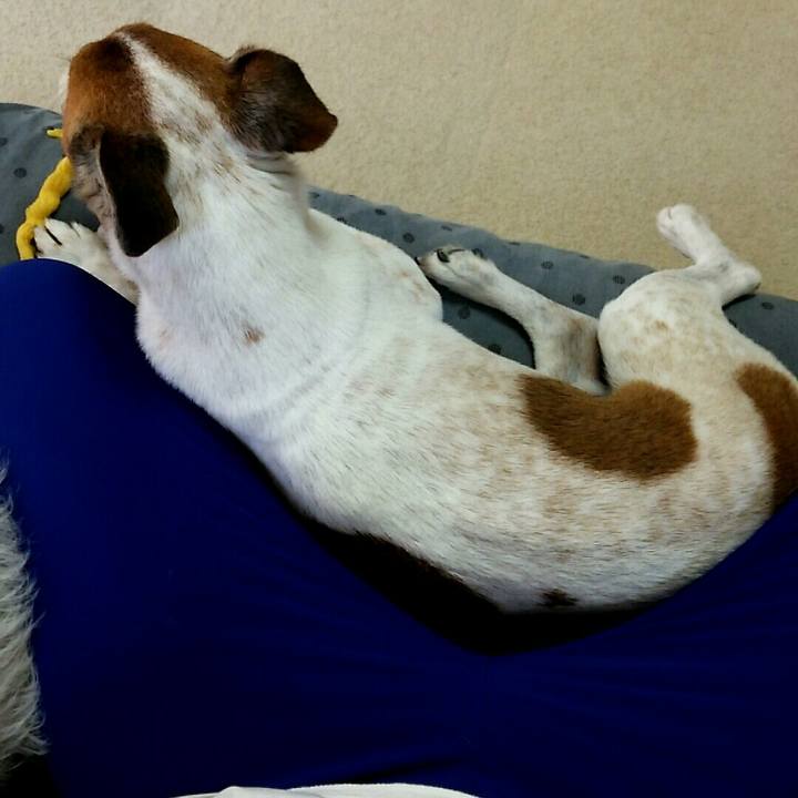 2bdaec71 6207 48c0 8c28 febf306c3f4e