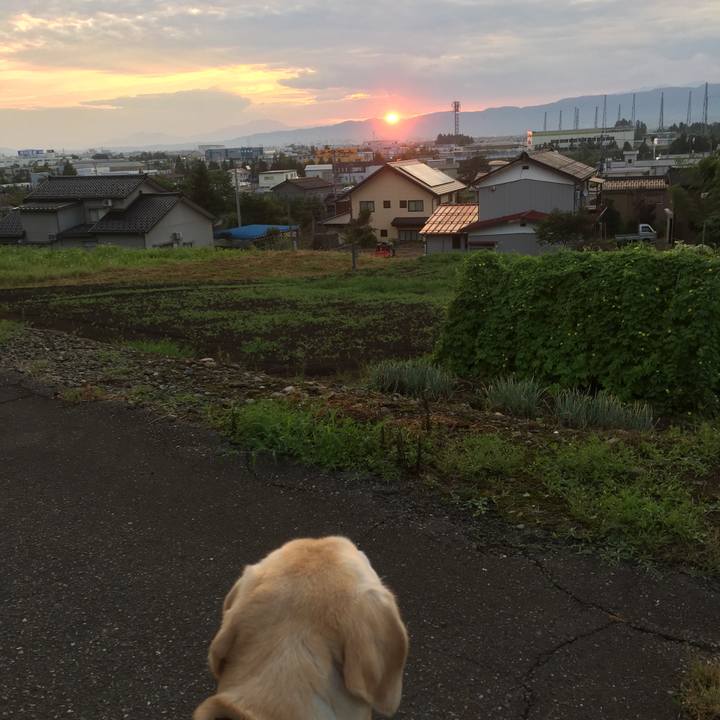 2bdc3f3a 60d5 4f36 8c45 104f8fcc6c3c