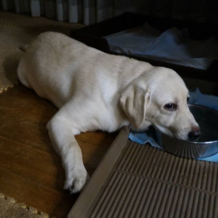 2bdc7009 fe6d 4441 8317 c1b43aa81e1c