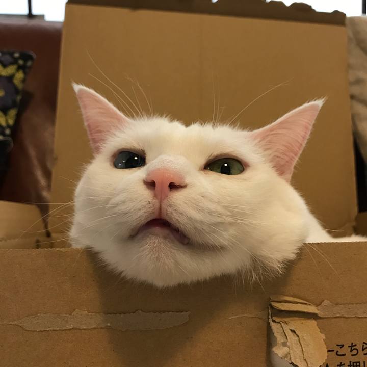 2bdc8562 4076 4ab0 977e bbd8856cf14f