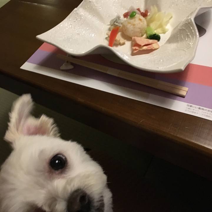 2bdca516 b4b4 43d0 9b98 10763cf2ea24