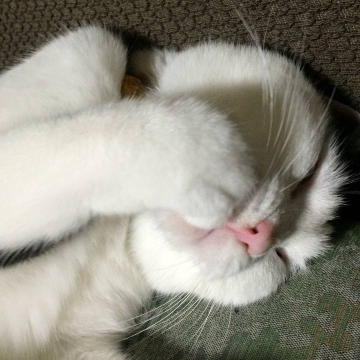 2bde14fb 4a75 4932 b4d6 6ffeabecb538