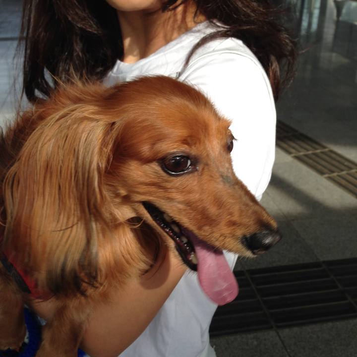 2bde9341 f8e4 49e4 8297 b6e243375023