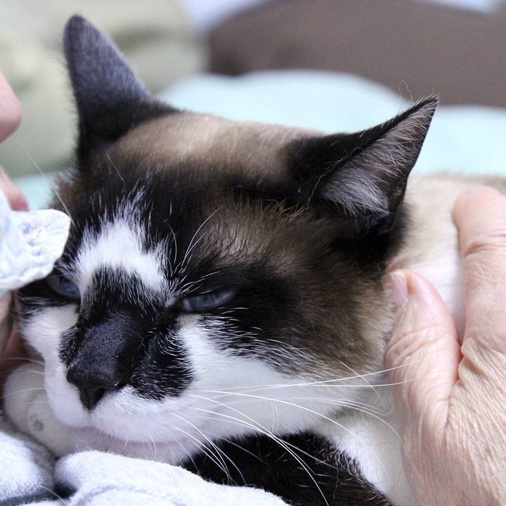 2bdeb050 c519 4132 b448 d931bcf87db8