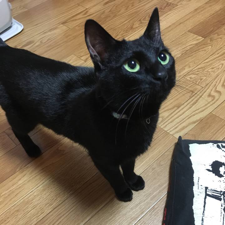 2bdf6ef0 b3e5 4914 aa67 145a8a880dbf