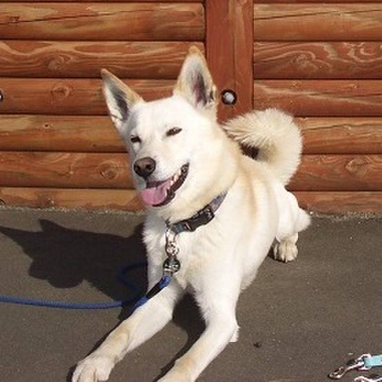 2bdfd6bd 2dcd 4faa 96a2 ab8464c4aca2