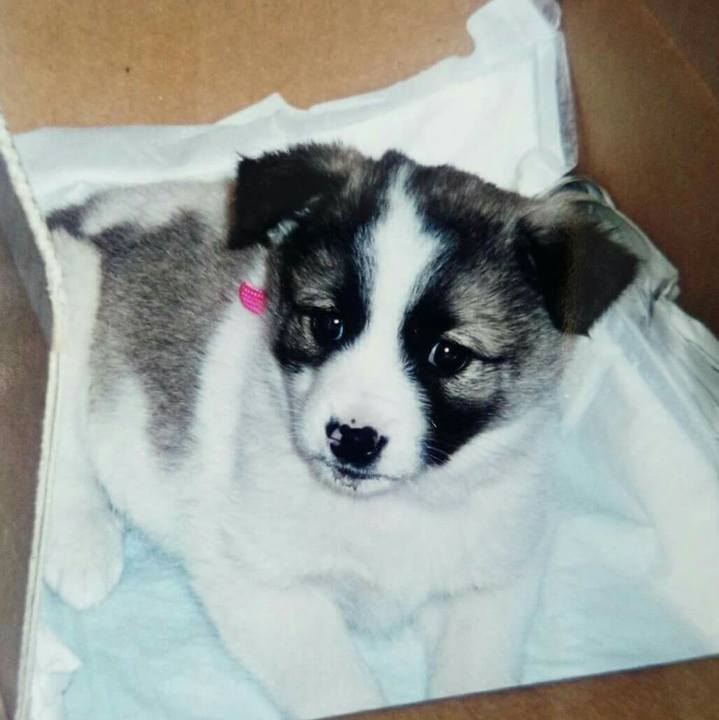 2be04456 40dc 4e4d 966c ea2aabb2dbfa