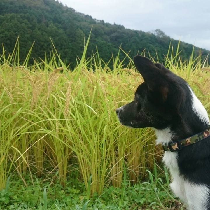 2be0e1d0 dfcc 483e b177 8f15560a9eaf