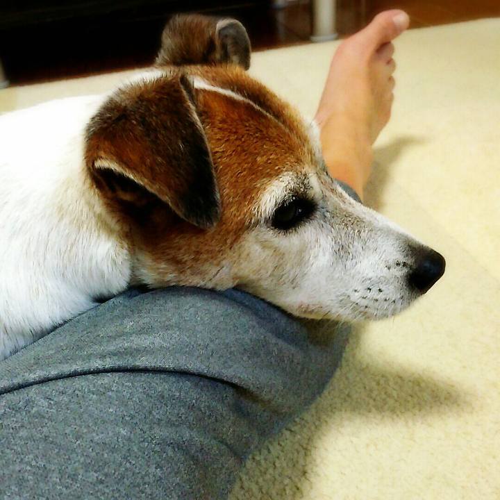 2be1552b 092b 49f7 9c9d 5f26aeb617f6