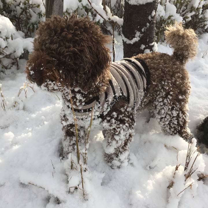 2be17ed4 2d5b 43b7 8402 ec7df9dcce8a