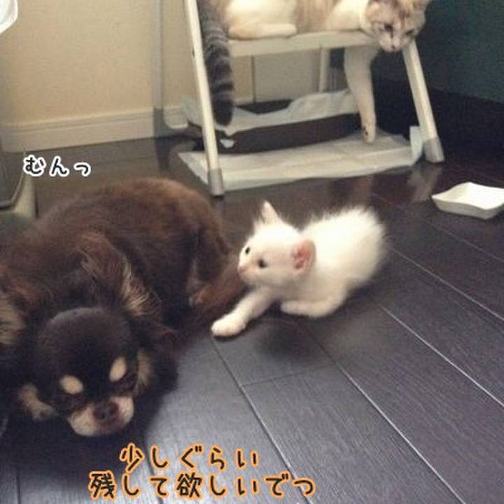 2be1a6e6 abff 4d7c a8a7 8e009504e263