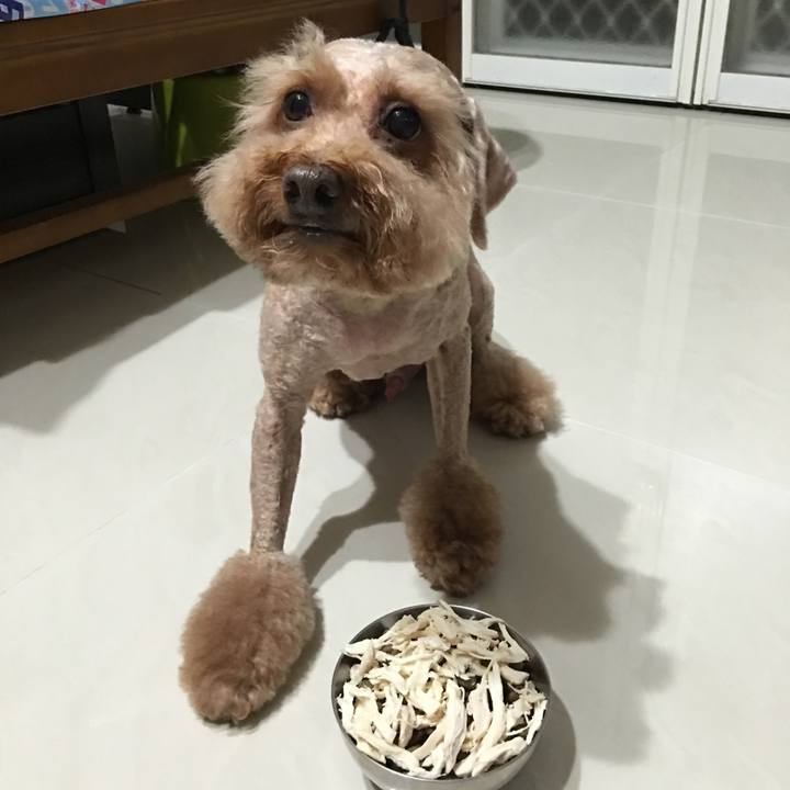 2be1c4af 9a1b 485a 9c99 0e728c2d29a6