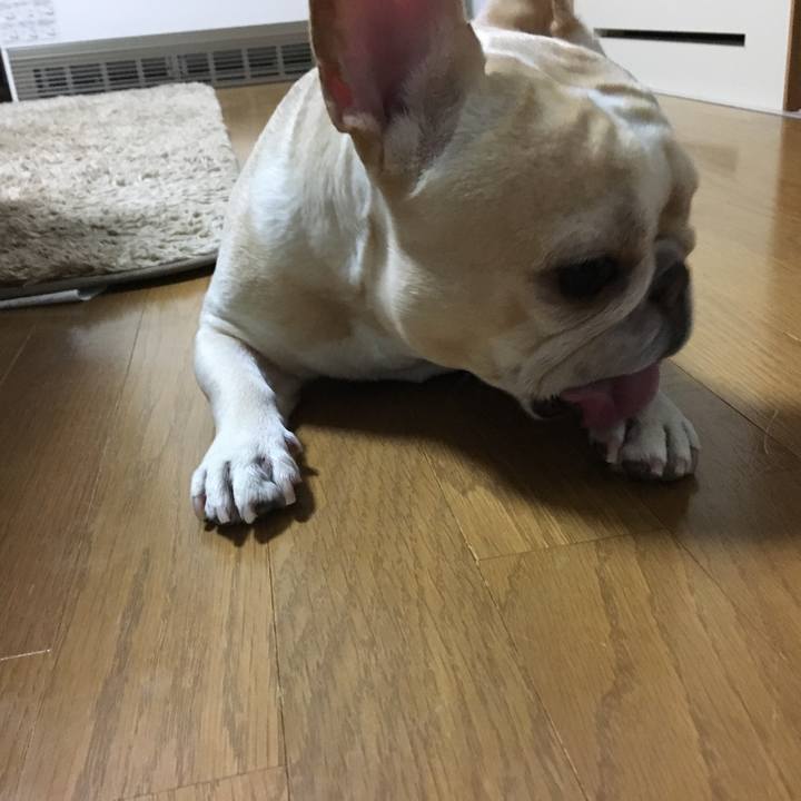 2be2ad6f ca64 48db a4f1 1f17bdfc29b8