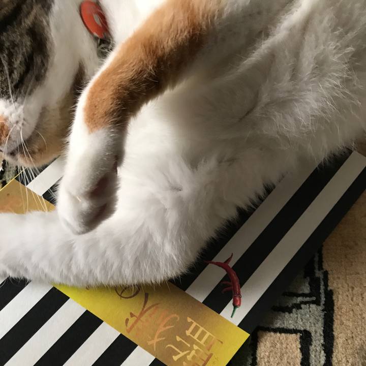 2be2d770 9ba9 427f 9b9d f5aefb4cbd47