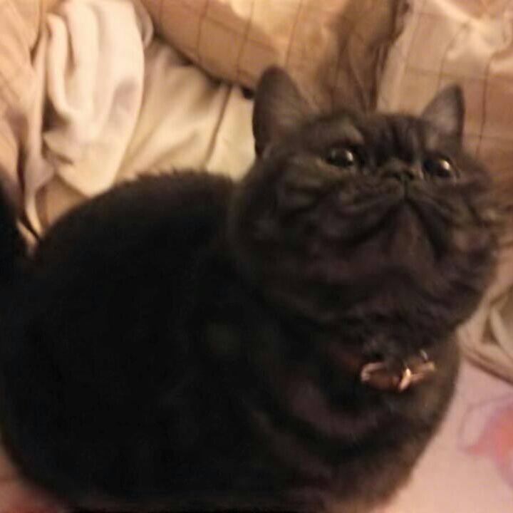 2be34f0f c4fc 4258 add0 ccfe237178a8