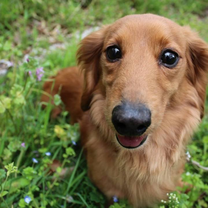 2be3f9b7 dba8 4105 b2ad 0b724c6a998d