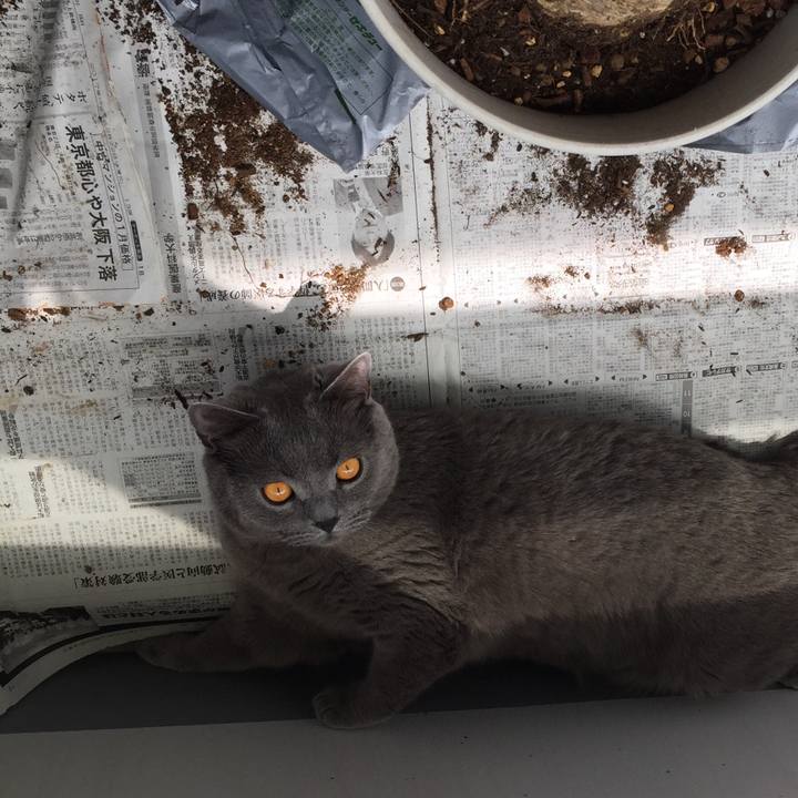 2be4864b bc09 4766 b676 be3ee091665c