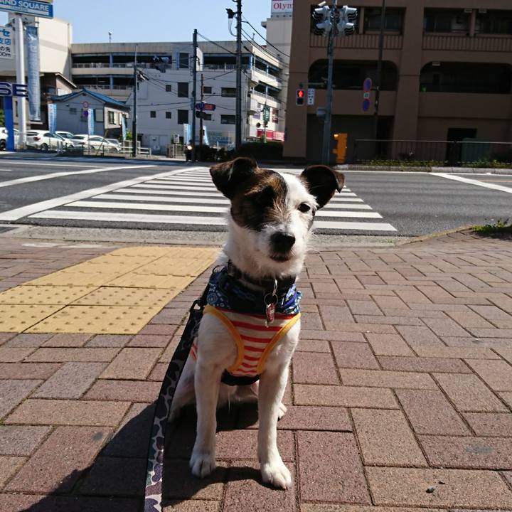 2be4fea9 23a1 4e14 b9fe 1f088f521fca