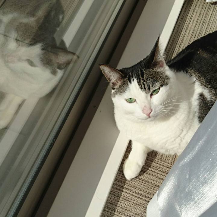 2be5031e 002f 453a 98be 5fecd95834c3