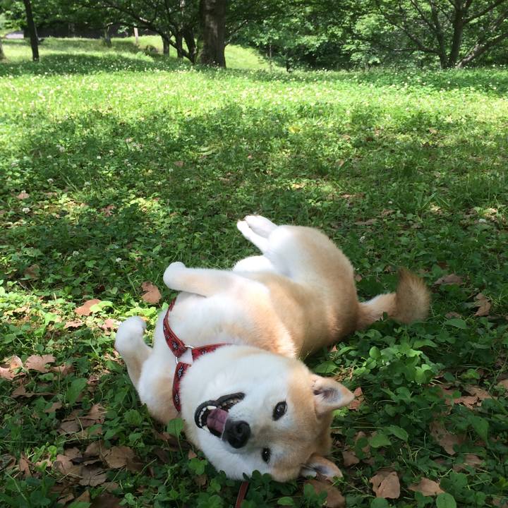 2be52572 80bb 4990 9903 84efa066ef65