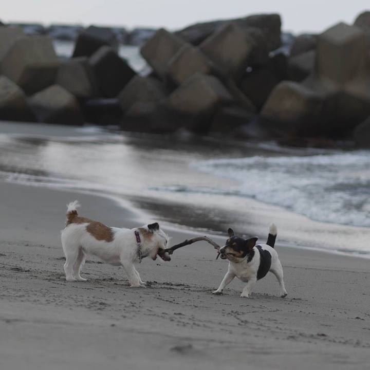 2be5dfab d6b5 4139 ae5f 19427ae98deb