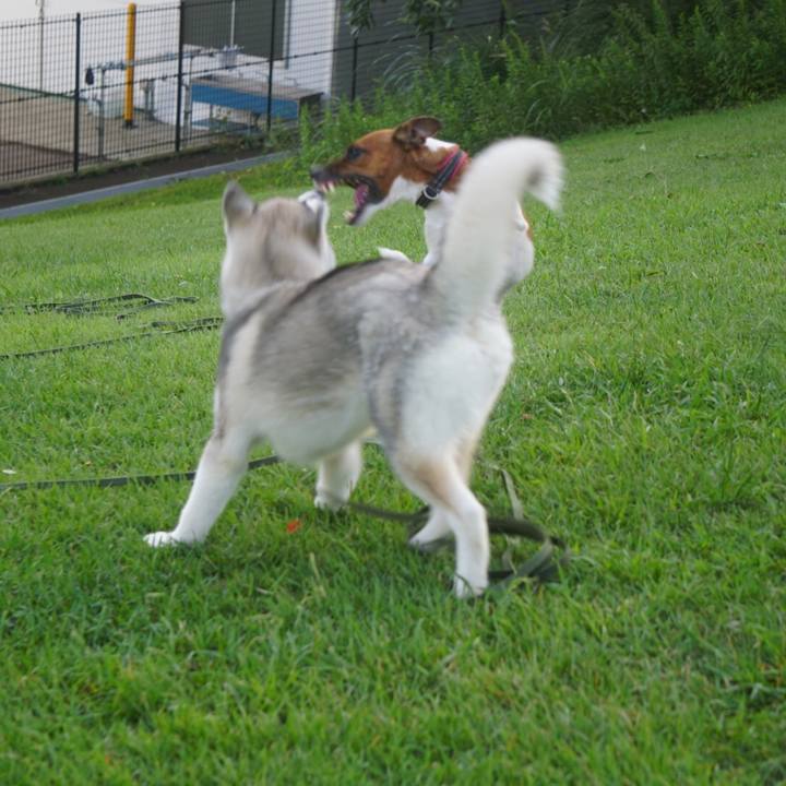 2be5ef64 4c7e 4ea1 a1f1 6f9232e72a38